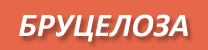Више о бруцелози