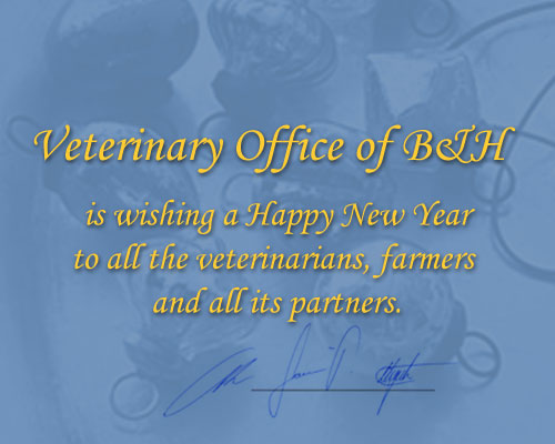 Happy New Year